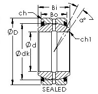 GEG110ES-2RS high misaligment spr  bearing drawings