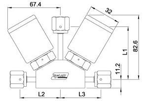 DVM1VF-4-PO Manifolds Diaphragm Valves