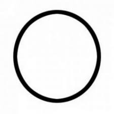 MARCH PUMP O-RING VIT